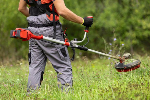 What are Brush Cutters and What are They Used for?